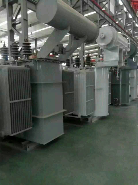 武定S11-6300KVA油浸式变压器